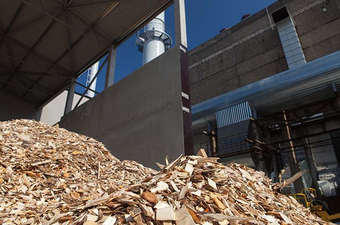 biomass power plant fired by wood chips