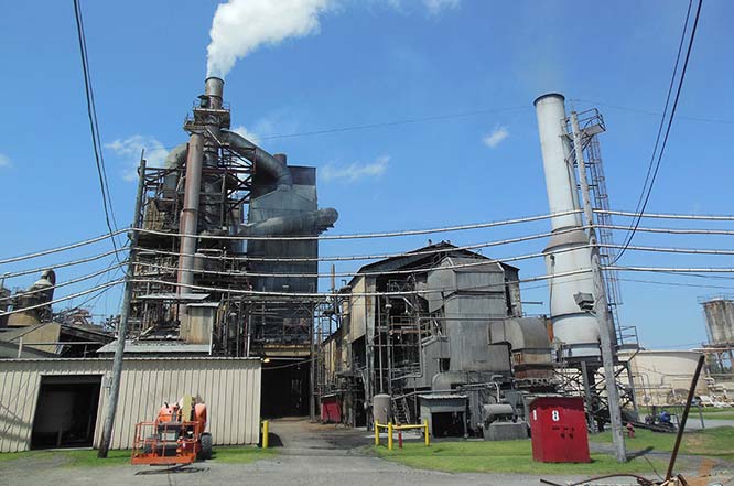 pulp and paper mill chp plant study
